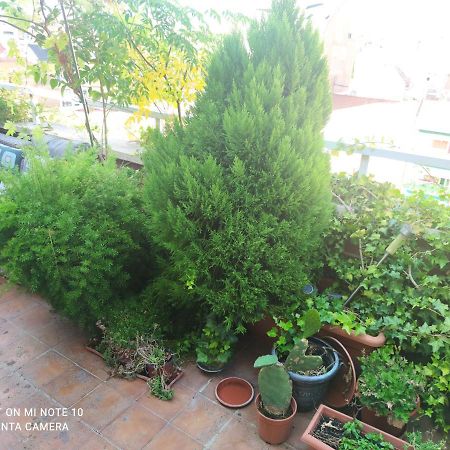 Habitacion Mv Madrid Bagian luar foto