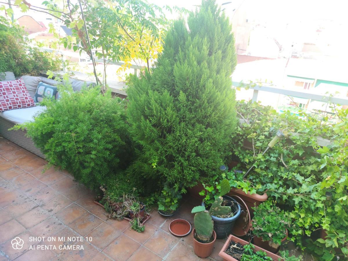 Habitacion Mv Madrid Bagian luar foto